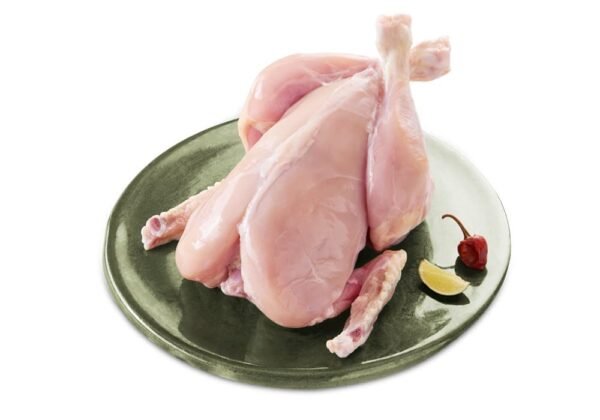 Tandoori Chicken (1 piece)